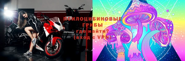 СК Михайлов